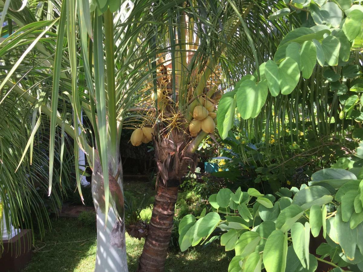 לה גולט Panorama Villa מראה חיצוני תמונה